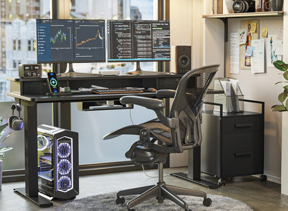 60 X 24 Inch Height Adjustable Electric Standing Desk with Double Drawer, Stand up Desk with Storage Shelf, Sit Stand Desk, Black